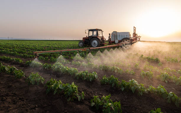 Best Pest Removal Services  in Mckinleyville, CA