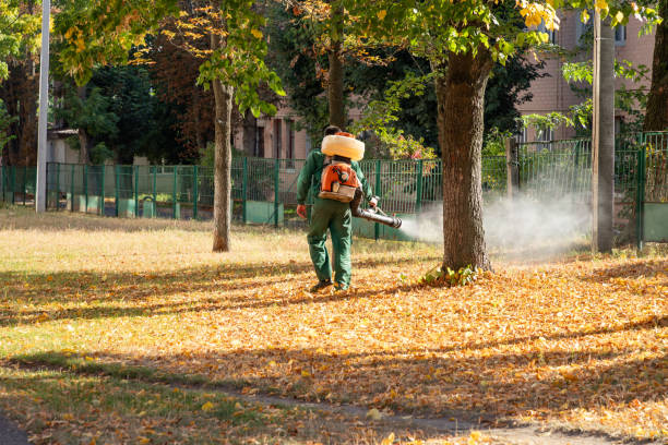 Best Best Pest Control Companies  in Mckinleyville, CA