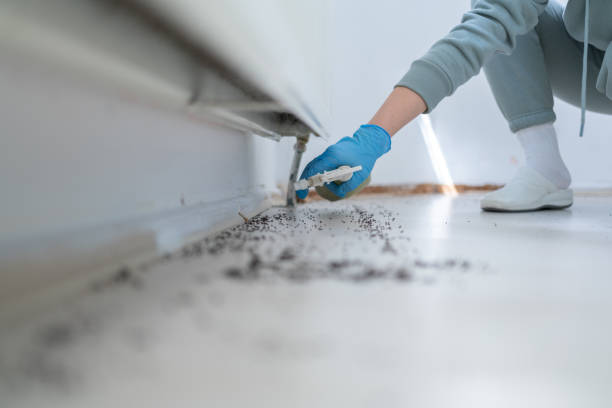 Best Mosquito Control Services  in Mckinleyville, CA